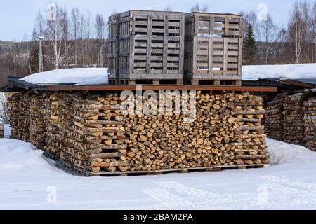 Mehrere Brennholzstapel stehen in Schnee und Schnee oben, Bild aus Nordschweden. Stockfoto