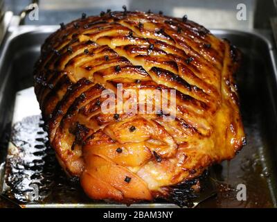 Honigglasierter Gammonschinken mit traditionellen Kräutern und Spikesin in einer Röstschale, gekochtes Fleisch für festliche Jahreszeiten Stockfoto