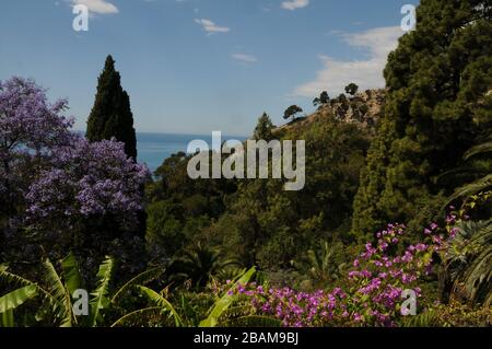 Hanbury Garden, 2016, La Mortola, Ventimiglia, Riviera dei Fiori, Italien. Stockfoto