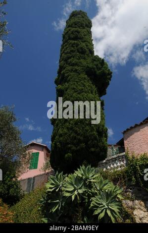 Haus, Hanbury Garden, 2016, La Mortola, Ventimiglia, Riviera dei Fiori, Italien. Stockfoto