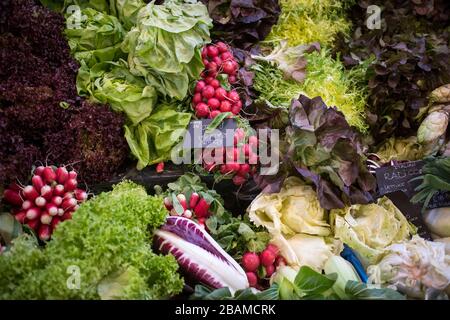 Verschiedene Salatarten mit Preisschildern für den Borough Market Stockfoto