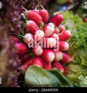 Verschiedene Salatarten mit Preisschildern für den Borough Market Stockfoto