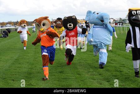 Oldham Athletic AFC's Chaddy Owl (links), Rotherham Utds Miller Bear (Mitte) und Sky Blue Sam (rechts) des FC Coventry City im Rahmen des Masscot Race der Football League zur Unterstützung von Prostatakrebs UK im Einsatz. Stockfoto