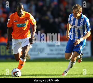 Blackpools Jesaia Osbourne (links) und Brighton & Hove Albion's Dean Hammond (rechts) Stockfoto