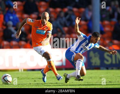 Blackpools Alex Bapstise (links) und Brighton & Hove Albion's Liam Bridcutt (rechts) in Aktion Stockfoto