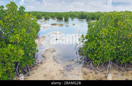 Die Pointe D'Esny Feuchtgebiet in der Nähe von Mahebourg, Mauritius, Maskarenen Inseln. Die Feuchtgebiete sind ein Ramsar-gebiet von internationaler Bedeutung erklärt. Stockfoto