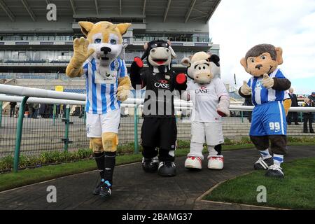 Huddersfield Town Maskottchen Terry The Terrier, Milton Keynes Dons maskotten Donny und Mooie the Cow, und Hartlepool Maskottchen H'Angus (links nach rechts) im Paradering vor dem Fußball-Liga-Maskottchen-Rennen, zur Unterstützung von Prostatakrebs UK. Stockfoto