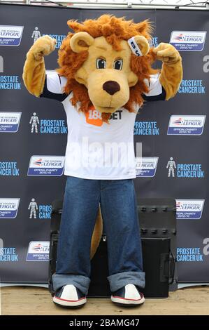 Leeds United Maskottchen Kop Kat, nach dem Maskottchen-Rennen der Football League, zur Unterstützung von Prostatakrebs UK. Stockfoto