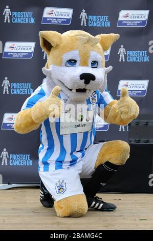 Huddersfield Town Maskottchen Terry the Terrier, nach dem Maskottchen-Rennen der Football League, zur Unterstützung von Prostate Cancer UK. Stockfoto