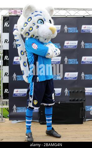 Leeds United Maskottchen Kop Kat, nach dem Maskottchen-Rennen der Football League, zur Unterstützung von Prostatakrebs UK. Stockfoto