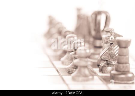 Schachfiguren aus Holz auf einem Schachbrett. Schwarz-weißes Schach auf Schachbrett, in weißem Hintergrund. Schachpferd an Bord. Stockfoto