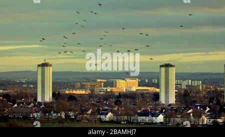 Glasgow, Schottland, Großbritannien, 28. März 2020: UK Weather: Am kalten Frühlingstag erleuchten die sterbenden Sonnenstrahlen das Queen Elizabeth University Hospital in Govan im Süden der Stadt, während die Coronavirus Krise im Herzen andauert und die Skotstoun das Gelände aus der Ferne umsäumt. Copywrite Gerard Ferry/Alamy Live News Stockfoto