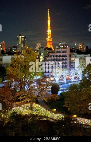 Weihnachtsbeleuchtung während der Winterzeit in Tokio Stockfoto