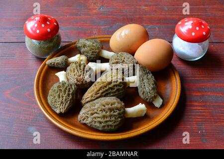 Schnellfrühstück des Forsters, frische schwarze Morelpilze, Eier, Salz und Pfeffer, die auf die Zubereitung in brauner Keramikplatte auf Mahagoni Tisch warten Stockfoto