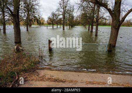 Naturschutzgebiet bei Düsseldorf unter Wasser, Deutschland. Stockfoto