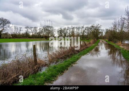 Naturschutzgebiet bei Düsseldorf unter Wasser, Deutschland. Stockfoto