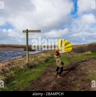 Kleiner Junge in Sanddünen, der bei stürmischem Wetter mit einem großen gelben Regenschirm zu kämpfen hat Stockfoto