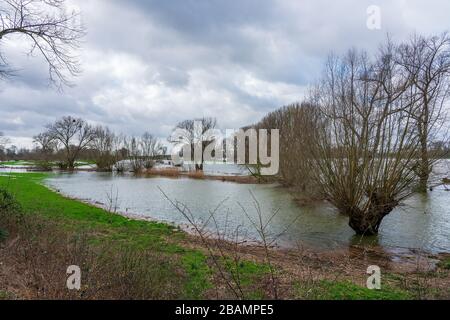 Naturschutzgebiet bei Düsseldorf unter Wasser, Deutschland. Stockfoto