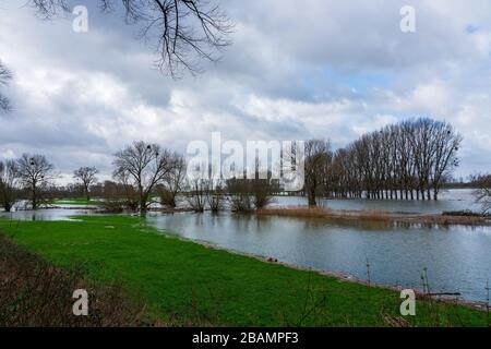 Naturschutzgebiet bei Düsseldorf unter Wasser, Deutschland. Stockfoto