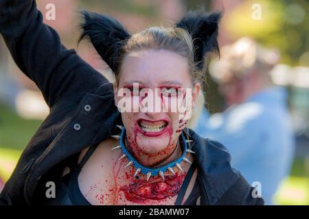 Saint John, New Brunswick, Kanada - 21. Oktober 2017: Zombie Walk. Ein weiblicher Zombie mit einem Stachelkragen trauert dem Betrachter entgegen. Stockfoto
