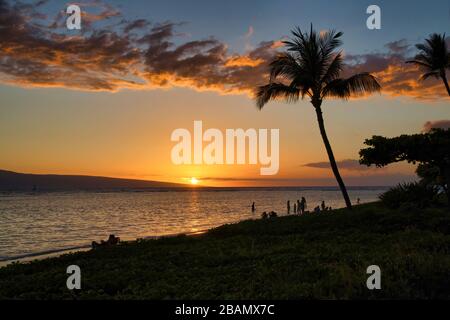 Baby Beach auf Maui bei Sonnenuntergang mit Lanai im Hintergrund und Palmbaum im Vordergrund. Stockfoto