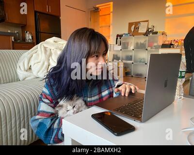 Boston University, Boston, Massachusetts, USA. März 2020. (200328) - Boston (USA), 28. März 2020 (Xinhua) - Muran Shang, chinesische Studentin an der Boston University, bleibt am 27. März 2020 bei ihrer Katze zu Hause in Boston, Massachusetts, den Vereinigten Staaten. Die Schulen sind geschlossen, die Bleibeberatung ist für alle da, und der Campus hat seine übliche Vitalität nicht mehr. Angesichts der wachsenden Befürchtungen über COVID-19 wollen die Tausenden von chinesischen Studenten der Boston University einfach sicher bleiben und für die betroffenen Seiten verantwortlich sein. (Xinhua) Stockfoto