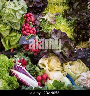 Quadratisches Bildformat. Verschiedene Salatarten mit Preisschildern für den Borough Market Stockfoto