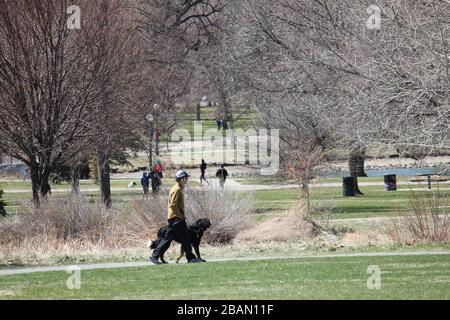 Mann, der seinen Hund im Denver's City Park inmitten des COVID-19-Ausbruchs spazieren ließ - City Park, Denver, Colorado, USA - 28. März 2020 Stockfoto