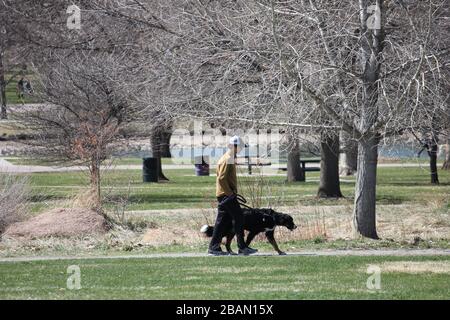 Mann, der seinen Hund im Denver's City Park inmitten des COVID-19-Ausbruchs spazieren ließ - City Park, Denver, Colorado, USA - 28. März 2020 Stockfoto