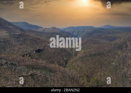 Walderneuerung nach den schweren Buschbränden in den Blue Mountains in Australien Stockfoto