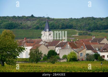 Kirche und historische Häuser von Vosne-Romanée Stockfoto