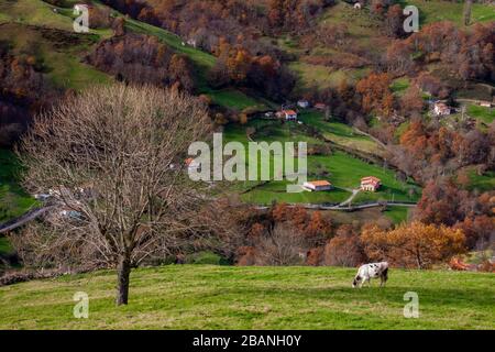 River Ason Tal in der Parklandschaft 'Collados del Ason' Kantabrien, Spanien. Stockfoto