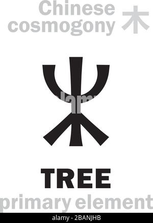 Alchymie Alphabet: BAUM/HOLZ [木] eines der fünf Hauptelemente der Schöpfung der Welt in der chinesischen Philosophie "Wu-Xing" & "Feng-Shui". Stock Vektor
