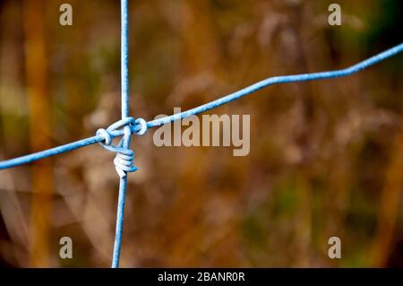 Nahaufnahme des blauen Zauns aus Drähten in Der Park - perfekt für den Hintergrund Stockfoto