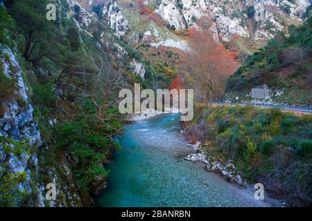 Der Río kümmert sich Tal in der Nähe von Arenas de Cabrales, Asturien, Nordspanien, Europa Stockfoto