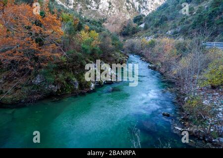 Der Río kümmert sich Tal in der Nähe von Arenas de Cabrales, Asturien, Nordspanien, Europa Stockfoto