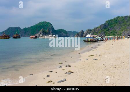 Schiffe entladen Menschen auf der Affeninsel. Viele Leute am Strand. Ha Long Bay in Vietnam Stockfoto