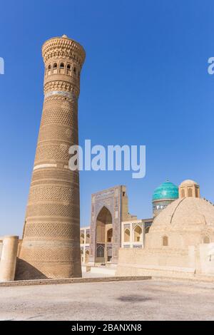 Kalon Minaret und Madrasa mir-i Arab oder mir Arab Madrasa, Buchara, Buchara, Usbekistan, Zentralasien, Asien Stockfoto