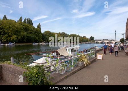 Reben, Blumen und Fahrräder machen eine schöne Verankerung für eines der Hausboote, die den Kai an der Themse in Kingston upon Thames, England, ansäumen. Stockfoto