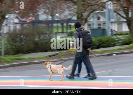 Ein junges Paar geht am Samstag, 28. März 2020, seinen Hund in der Nähe des Cal Anderson Park im Viertel Capitol Hill in Seattle. Unter Gouverneur Jay Inslees Statewide Stay Home Proklamation, die nun bis zum 6. April verlängert wird, können die Menschen ihr Zuhause nur für wichtige Aktivitäten wie Lebensmittelgeschäfte, Sport und Pflege eines Familienmitglieds, Freundes oder Haustiers verlassen. Stockfoto