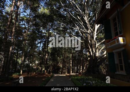 BaoDai Palace Dalat Vietnam Stockfoto