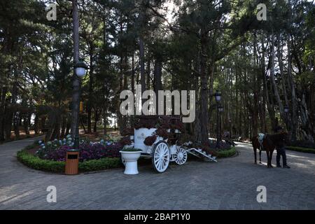 BaoDai Palace Dalat Vietnam Stockfoto