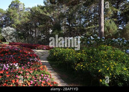 BaoDai Palace Dalat Vietnam Stockfoto