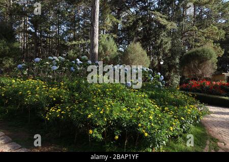 BaoDai Palace Dalat Vietnam Stockfoto