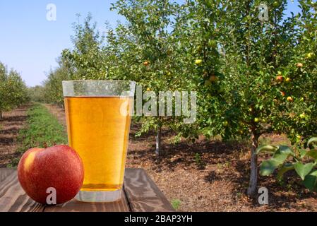 apfelsaft in einem Glas auf Gartenhintergrund Stockfoto