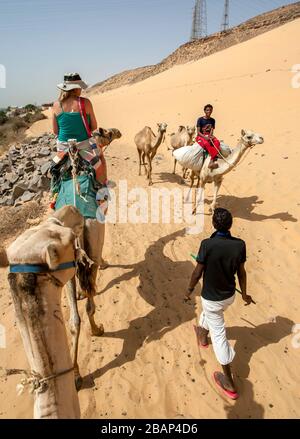 Ein Tourist reitet ein Kamel entlang des Westufers des Nils in Richtung des nubischen Dorfes Garb-Sohel in der Assuan Region von Ägypten. Stockfoto