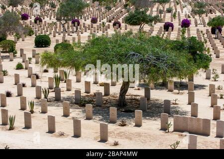 Commonwealth Kriegsgräber auf El Alamein Kriegsfriedhof in Nord-Ägypten. Der Friedhof enthält die Gräber der Soldaten des Zweiten Weltkriegs des Britischen Imperiums. Stockfoto