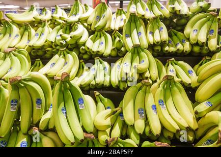 Miami Beach Florida, Publix, Lebensmittelgeschäft, Supermarkt, Lebensmittel, Vitrine Verkauf, Shopping Shopper Shopper Shop Geschäfte Markt Märkte Marktplatz Kauf sel Stockfoto