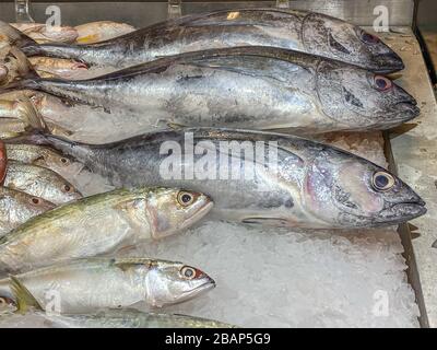 Verschiedene Fische, die auf Eis gefroren sind, am Fischerstall im Supermarkt Stockfoto