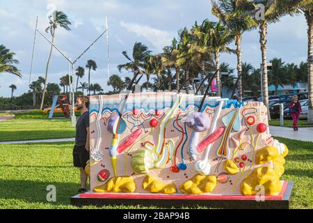 Miami Beach, Florida, Collins Park, Art Basel, jährlich, Messe, Galerien, Kunst, Art Public, Satellitenausstellungsausstellung, Mann Männer Erwachsene Erwachsene, Damien Hirs Stockfoto